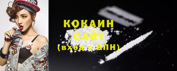 ГАЛЛЮЦИНОГЕННЫЕ ГРИБЫ Аркадак