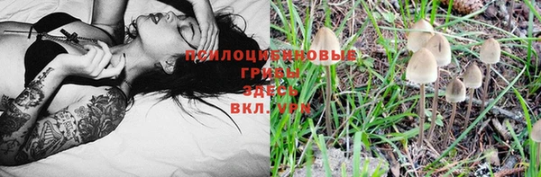 прущий лед Армянск