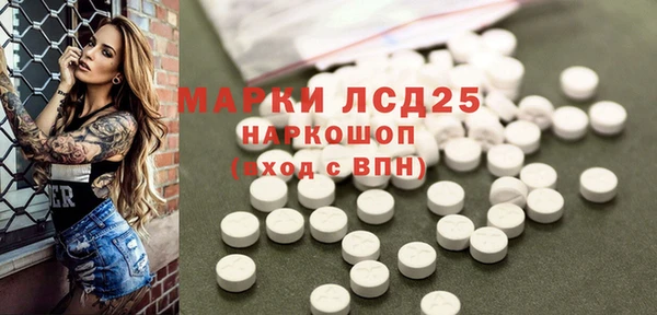 ГАЛЛЮЦИНОГЕННЫЕ ГРИБЫ Аркадак