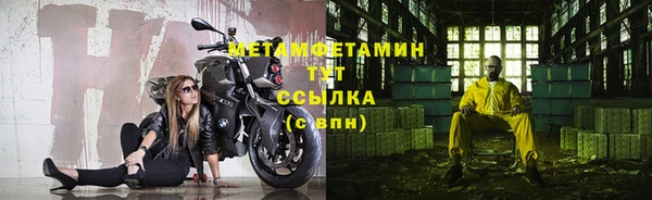ГАЛЛЮЦИНОГЕННЫЕ ГРИБЫ Аркадак